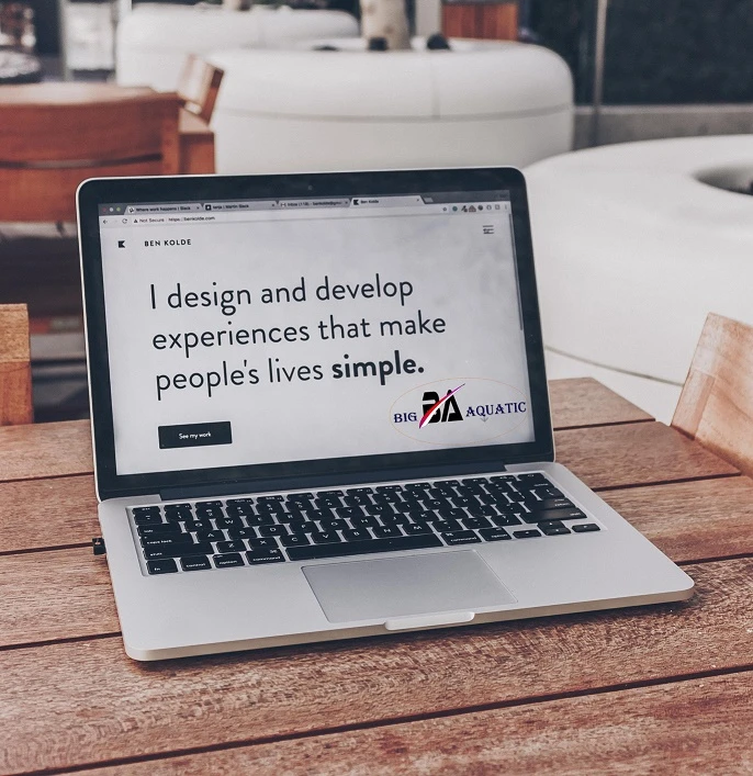 Big Aquatic Create your own digital world with us |Best Website Development Company in India | Best Software Development Company In India | Best IT Solution Company In India | Website designing in Che