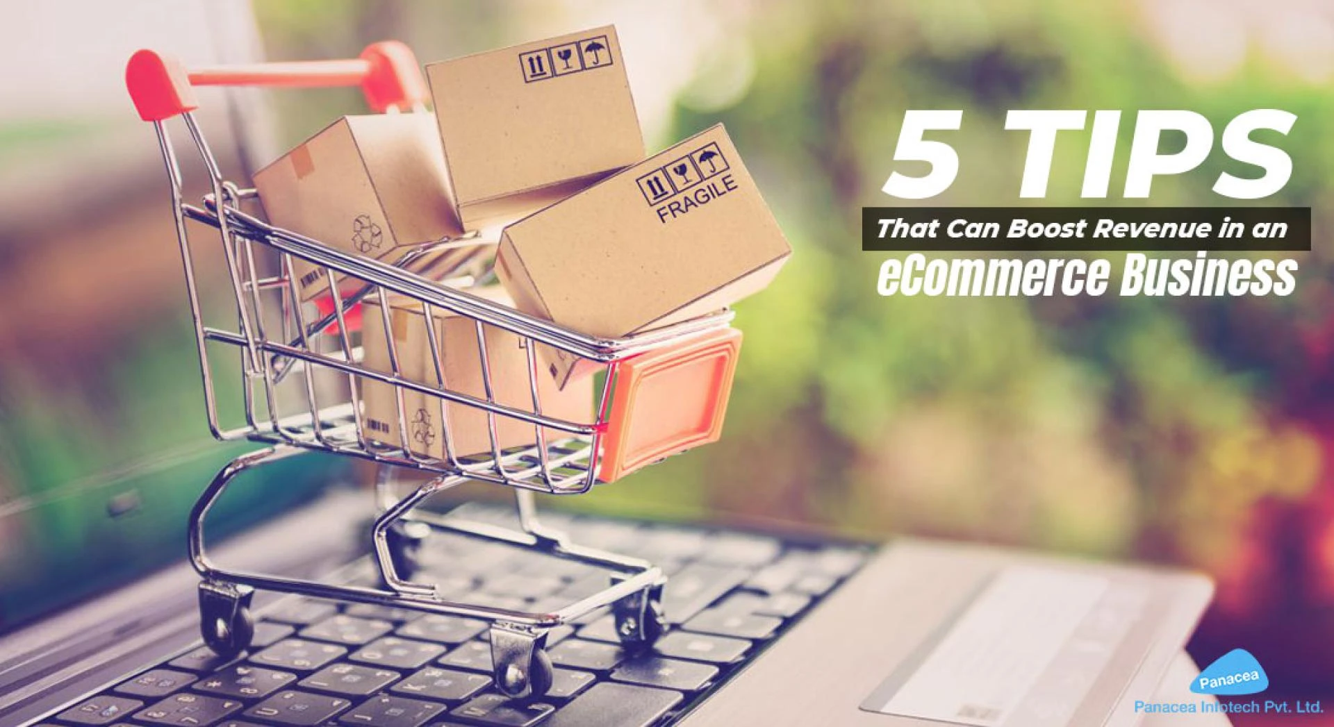 5 Tips That Can Boost Revenue in an eCommerce Business