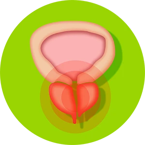 Kronik prostatit tedavisi