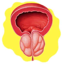 Prostatit geçmiyor