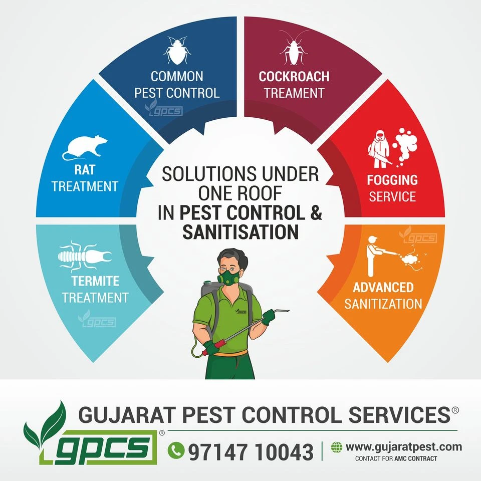 Simple Tips for Common Pest Control Problems