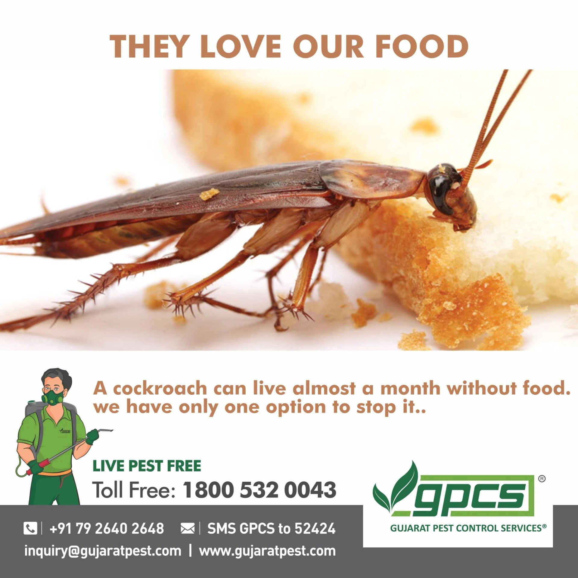 8 Roach Control Tips for Your Home or Business
