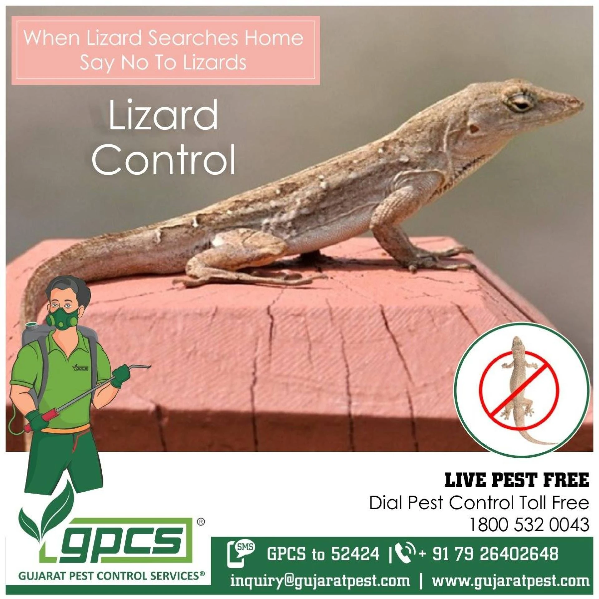 Are you in need of a Professional Pest Control service?