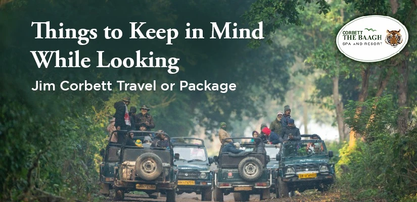 Things To Keep In Mind While Looking For Jim Corbett Travel Or Package