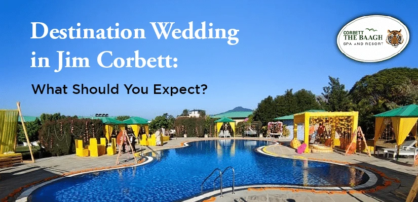 Destination Wedding In Jim Corbett: What Should You Expect?