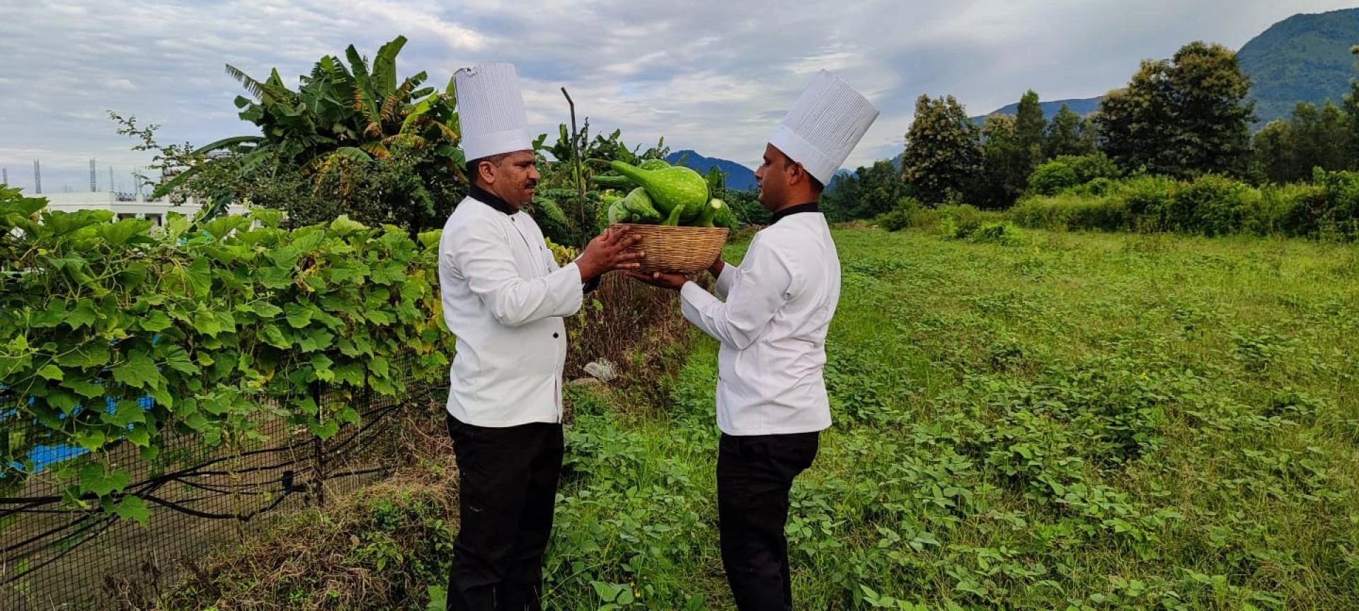 6 Best Ways to Boost Your Immunity &amp; Attain a Healthy &amp; Holistic Life