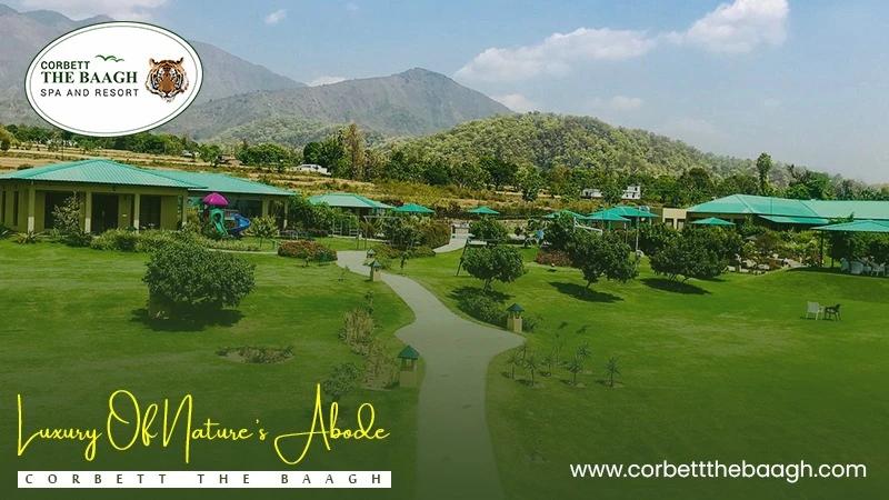 What are the Top Attractions to Visit in Jim Corbett?