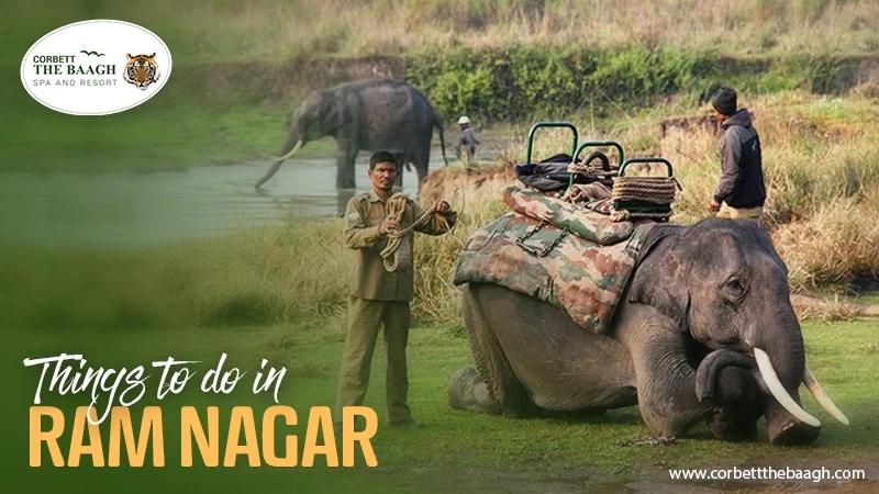 Things to do in Ramnagar