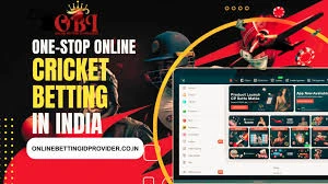 Mastering Betting Terminology with Lotus Book 24/7 Demo ID