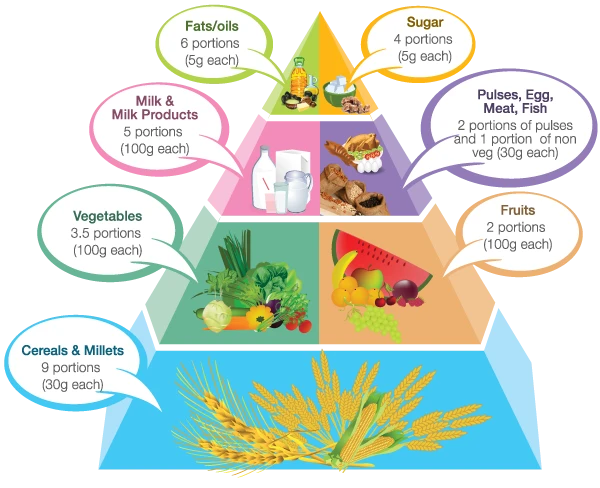 3 Pregnancy Healthy Foods And Their Key Nutrients