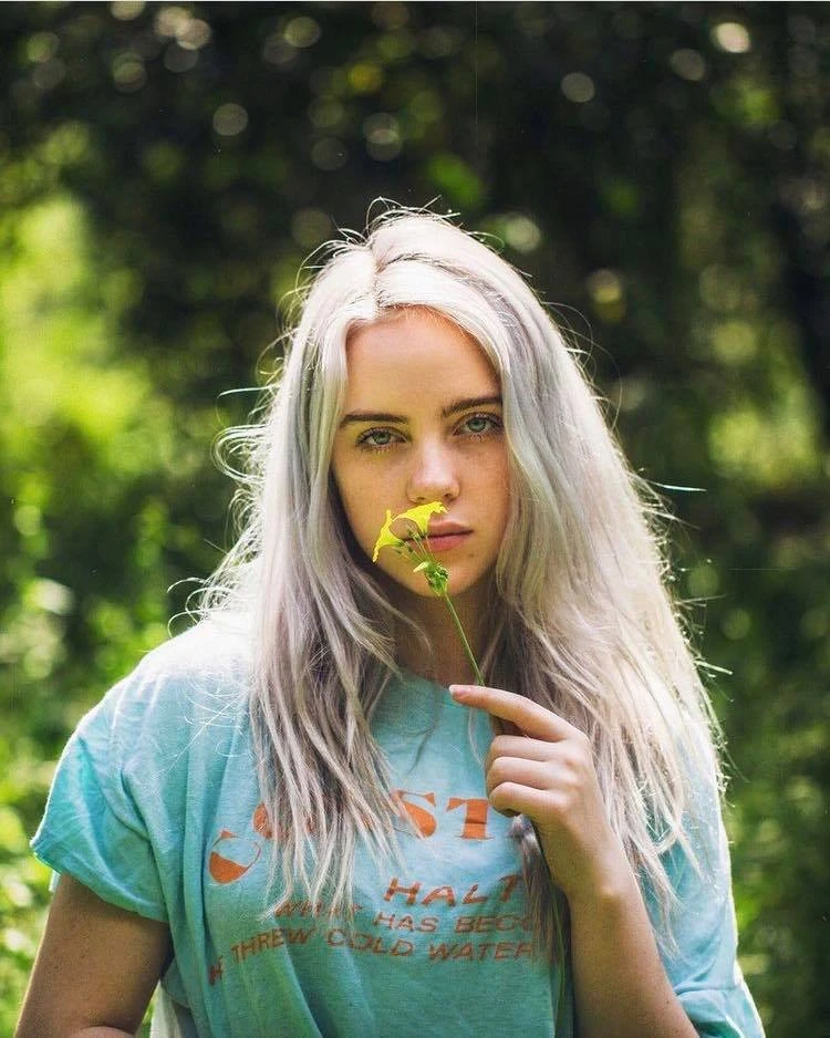 Elevating Your Abode: A Transformative Journey in Home Improvement