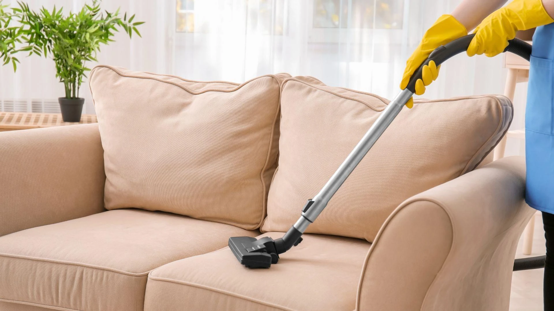 Top Reasons to Call a Professional for Sofa Cleaning