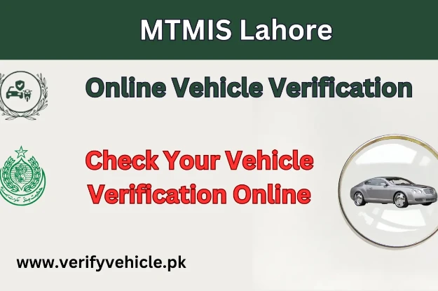 MTMIS Lahore Online Vehicle Verification