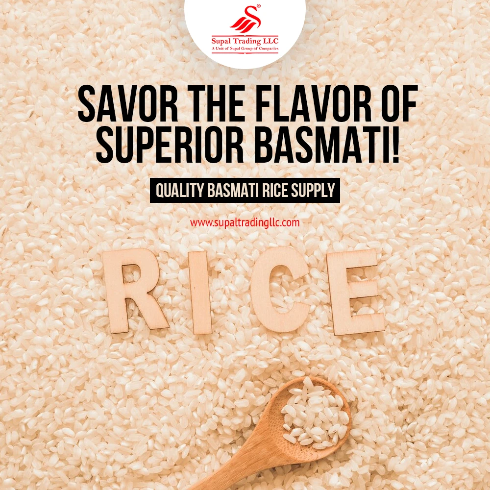 Who is the main exporter of basmati rice?