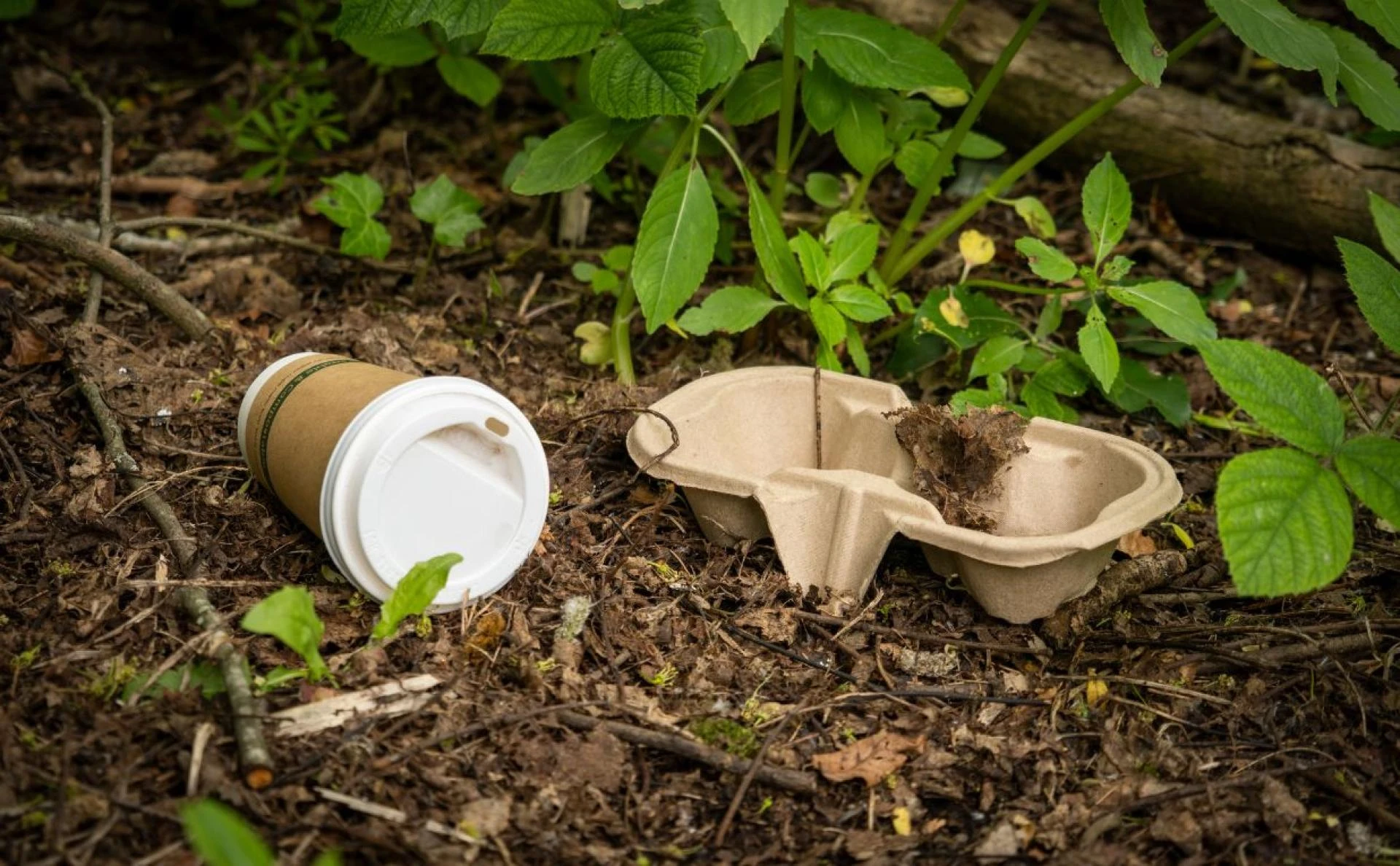 Why Businesses Should Prioritize Quality Paper Cup SuppDraft: My Post Title