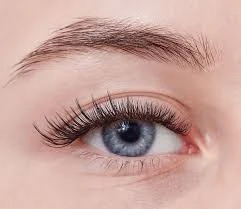 Become a Skilled Lash Artist in Just Three Months at Vedrova School