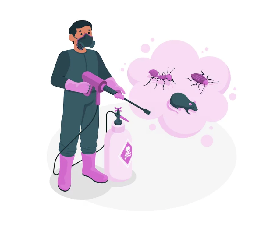 Avail the Best Ant Pest Control Service in the USA 