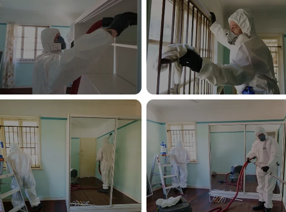 How to Choose the Best Water Damage Restorer in Brisbane?