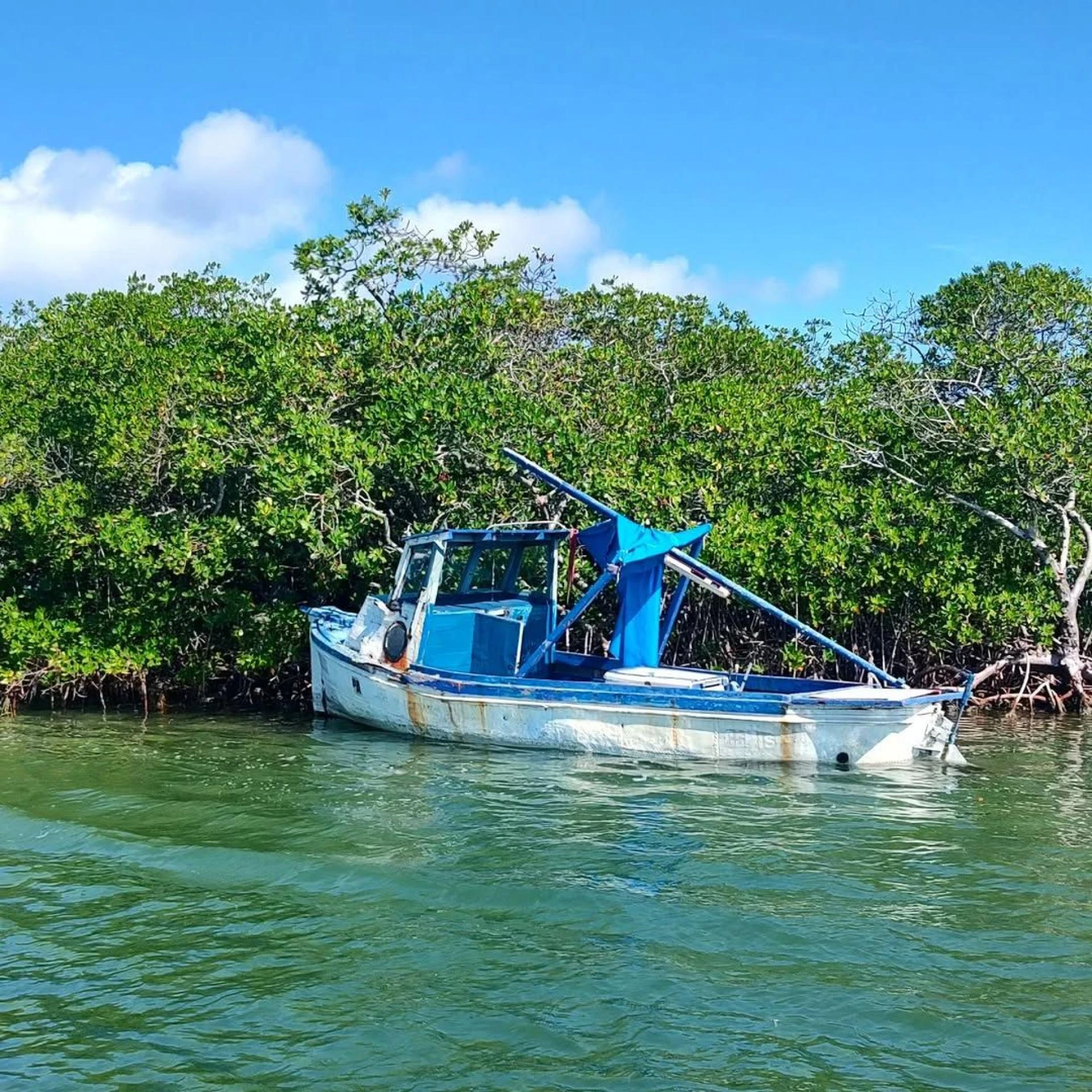 Top Wildlife and Snorkeling Tours in the Florida Keys