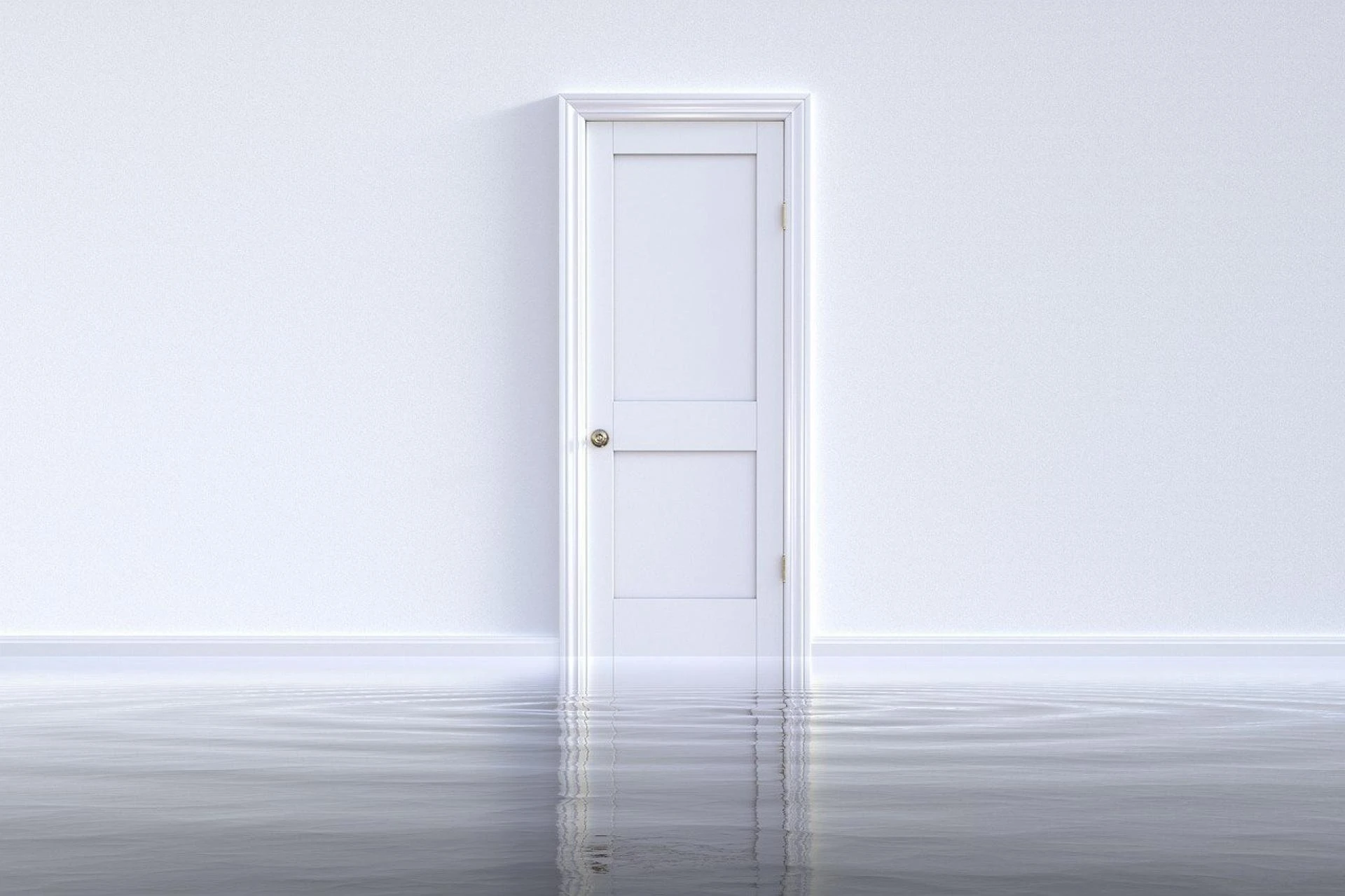 How to Choose the Right Door Hinges for Your Project