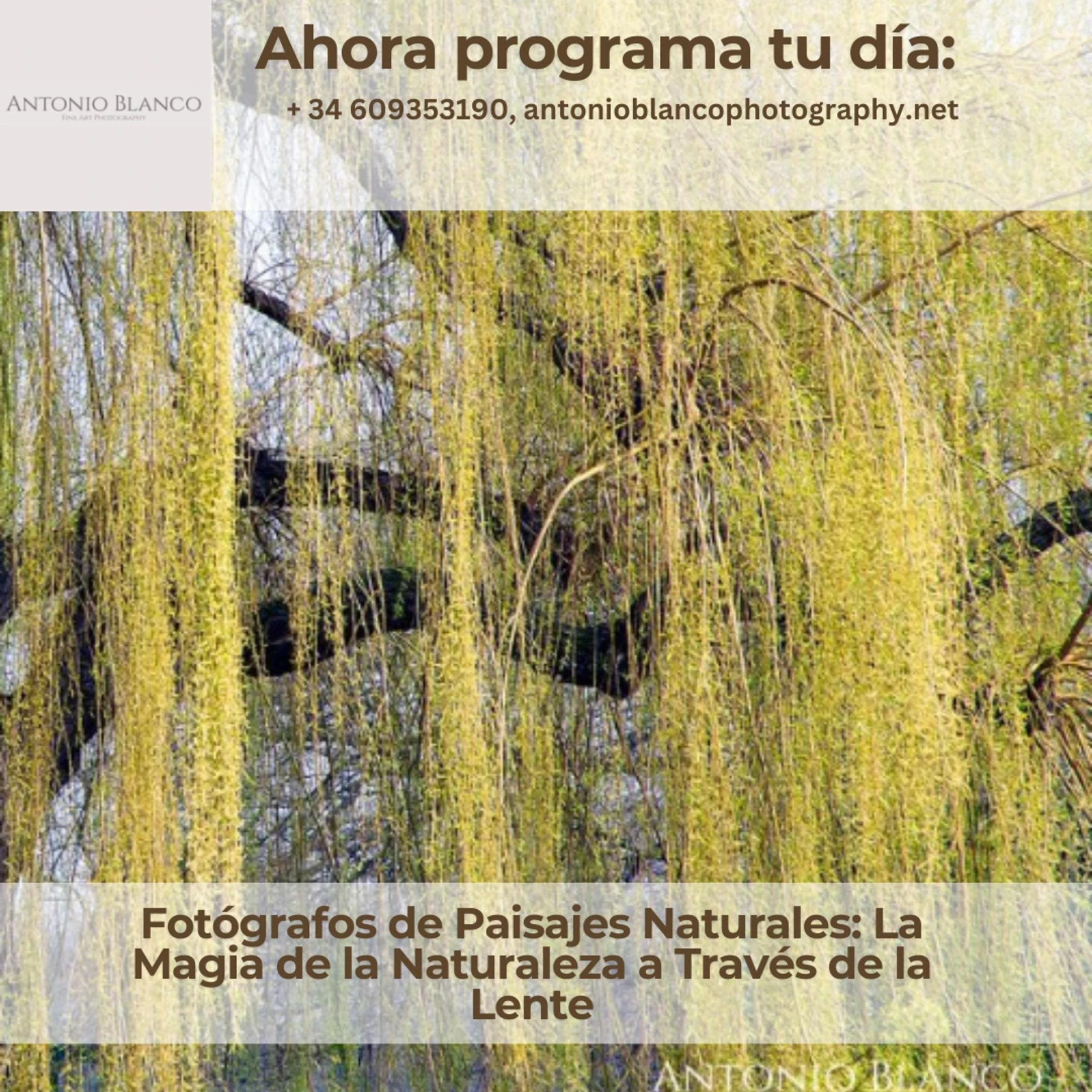 ¿Cómo puede la fotografía de diseño arquitectónico resaltar la belleza de los diseños?