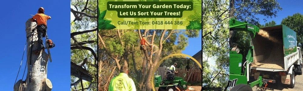 Stump Grinding Services: Say Goodbye to Unsightly Stumps with Our Expert Grinding Services