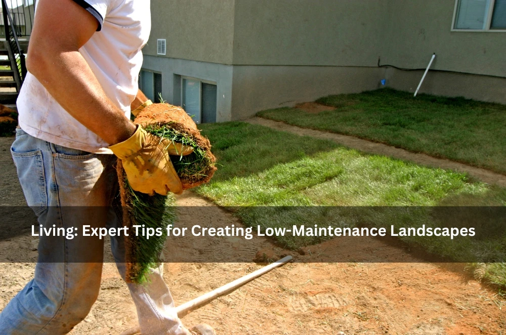 Living: Expert Tips for Creating Low-Maintenance Landscapes