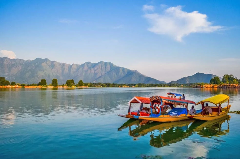 Wonderful Kashmir Tulip Garden Festival Package - Book Now!