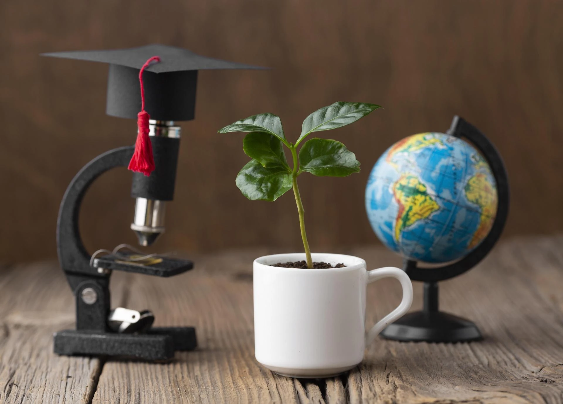 MBA Online/Distance Education: Top-Ranked Universities to Consider