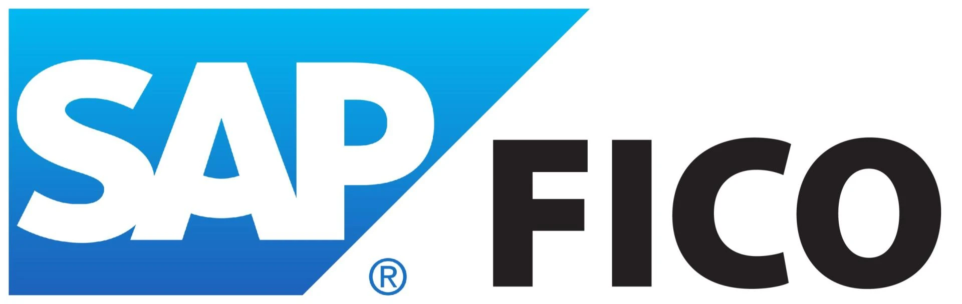 Unleash Your Business Potential with SAP FICO: A Game-Changer!