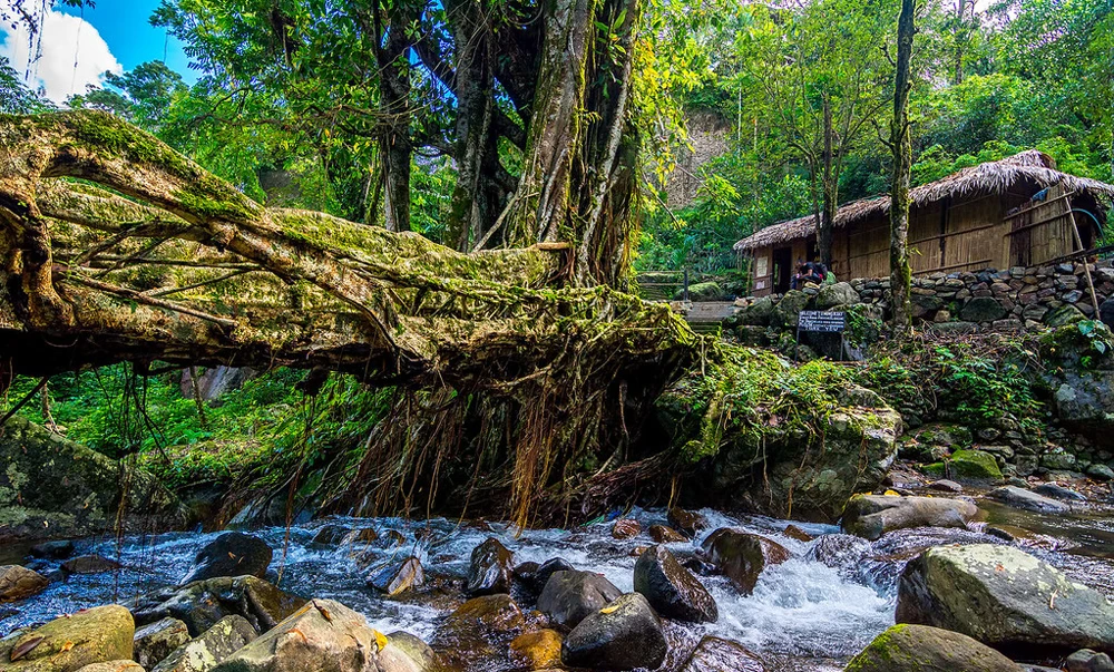 Amazing beautiful Shillong Meghalaya Package Tour