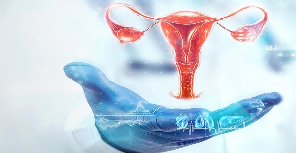 From Pregnancy to Infertility Treatment: Best Gynecologist Doctor in Delhi