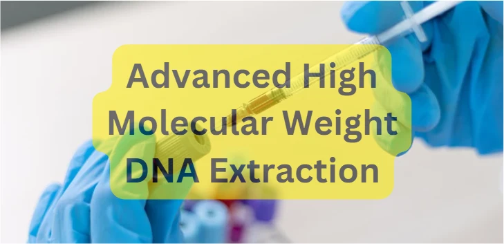 Advanced High Molecular Weight DNA Extraction: Next-Generation Genomic Purification Techniques