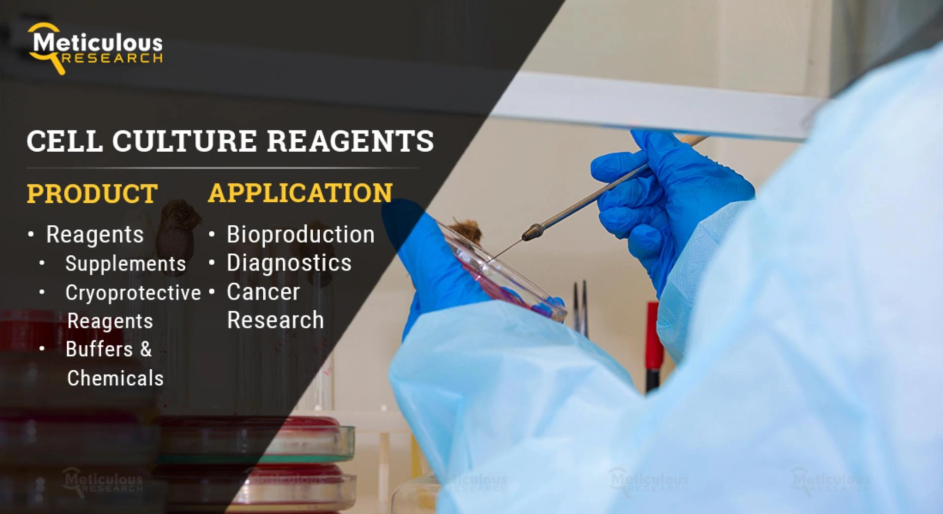 Cell Culture Reagents Market to Witness Increased Demand as Valuation of US$ 11.04 Bn Estimated by 2029