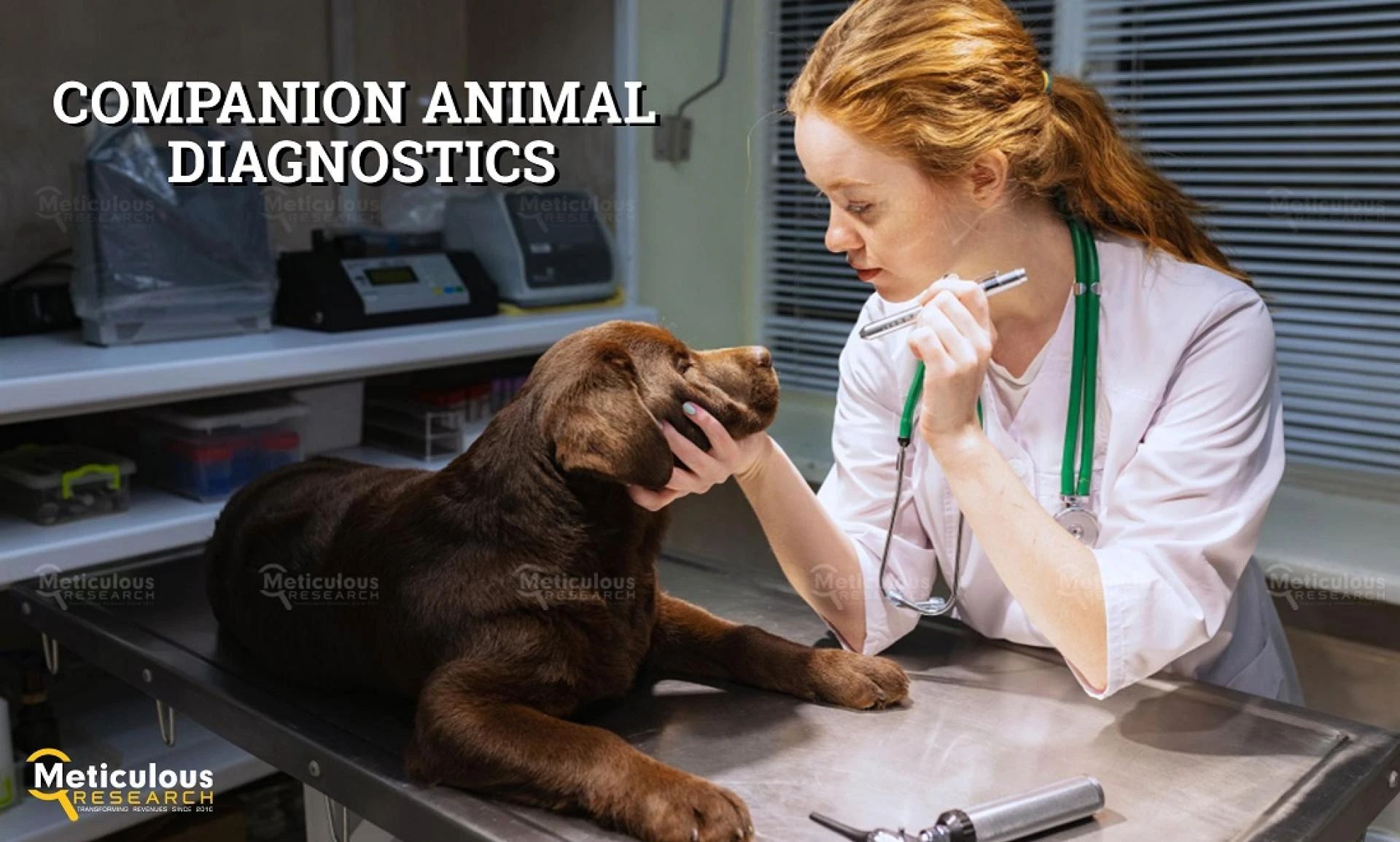 Companion Animal Diagnostics Market | Industry Trends, Share, Growth, Analysis &amp; Forecast Report by Facts &amp; Factors