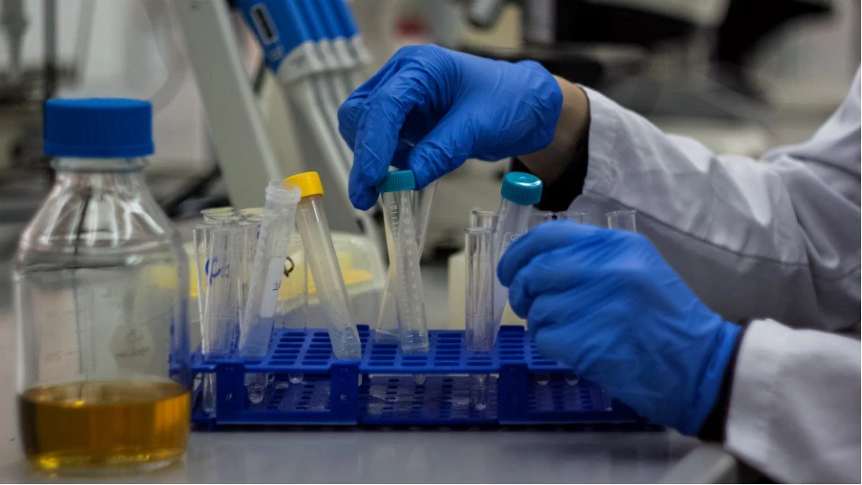 In-Vitro Toxicology/Toxicity Testing Market Next Big Thing | Major Giants - Merck KGAA, Catalent, Inc, etc