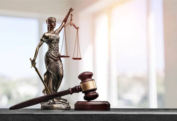 What is the burden of proof in a domestic violence case?