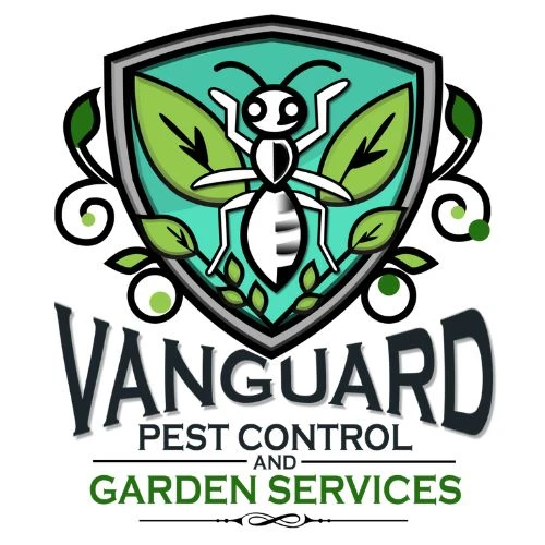 Say Goodbye to Pests: Vanguard Eco Solutions in Melbourne