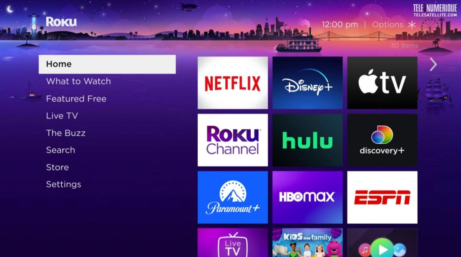 Can IPTV Work on Ruku? A Comprehensive Guide