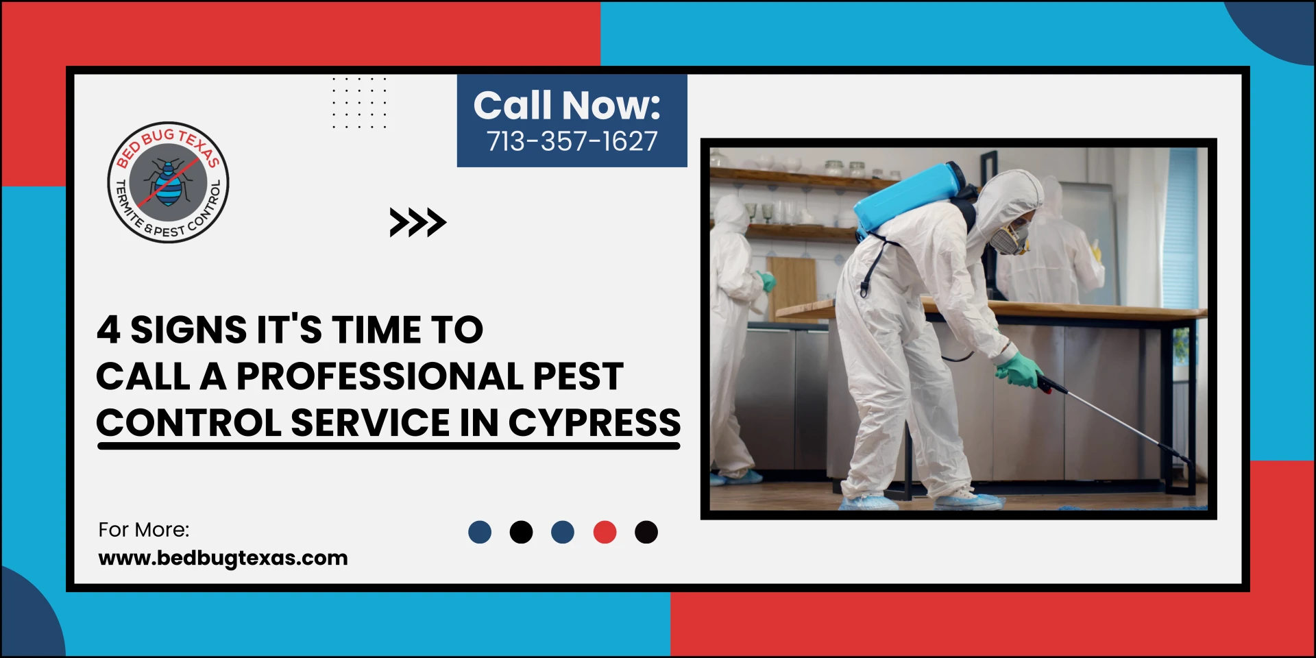 4 Signs It's Time to Call A Professional Pest Control Service in Cypress