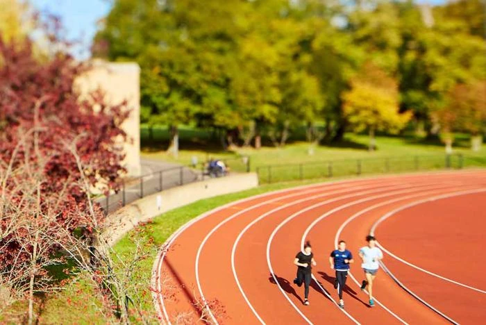 Beyond the Game: How Tech Is Revolutionizing Sports Performance