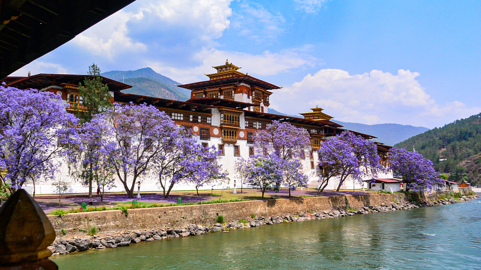 Embark on a Journey of Serenity with Bhutan Group Tour Packages for Family
