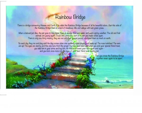 How the Rainbow Bridge Poem Brings Comfort to Pet Owners