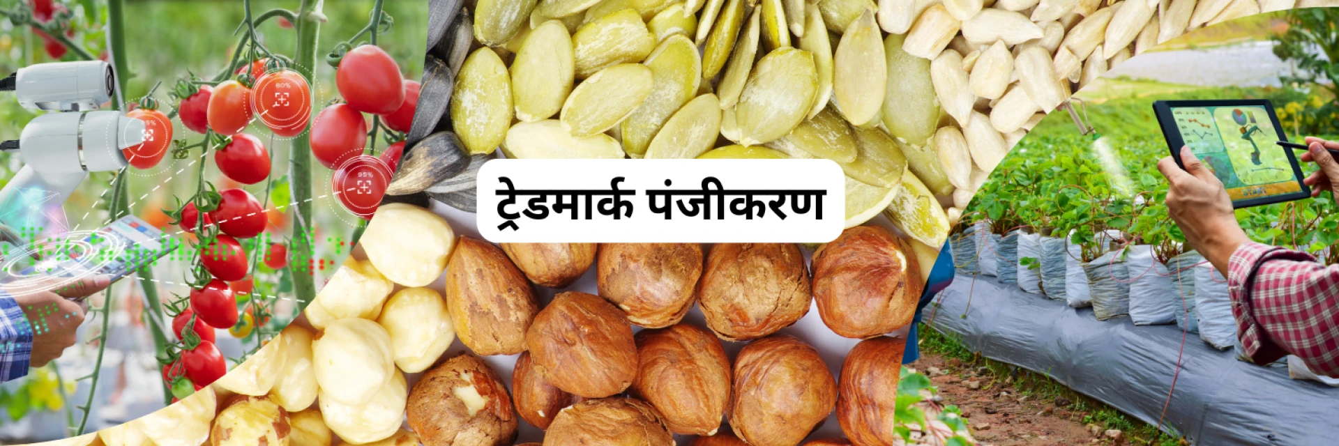 Trademark Registration for Agri Input Businesses