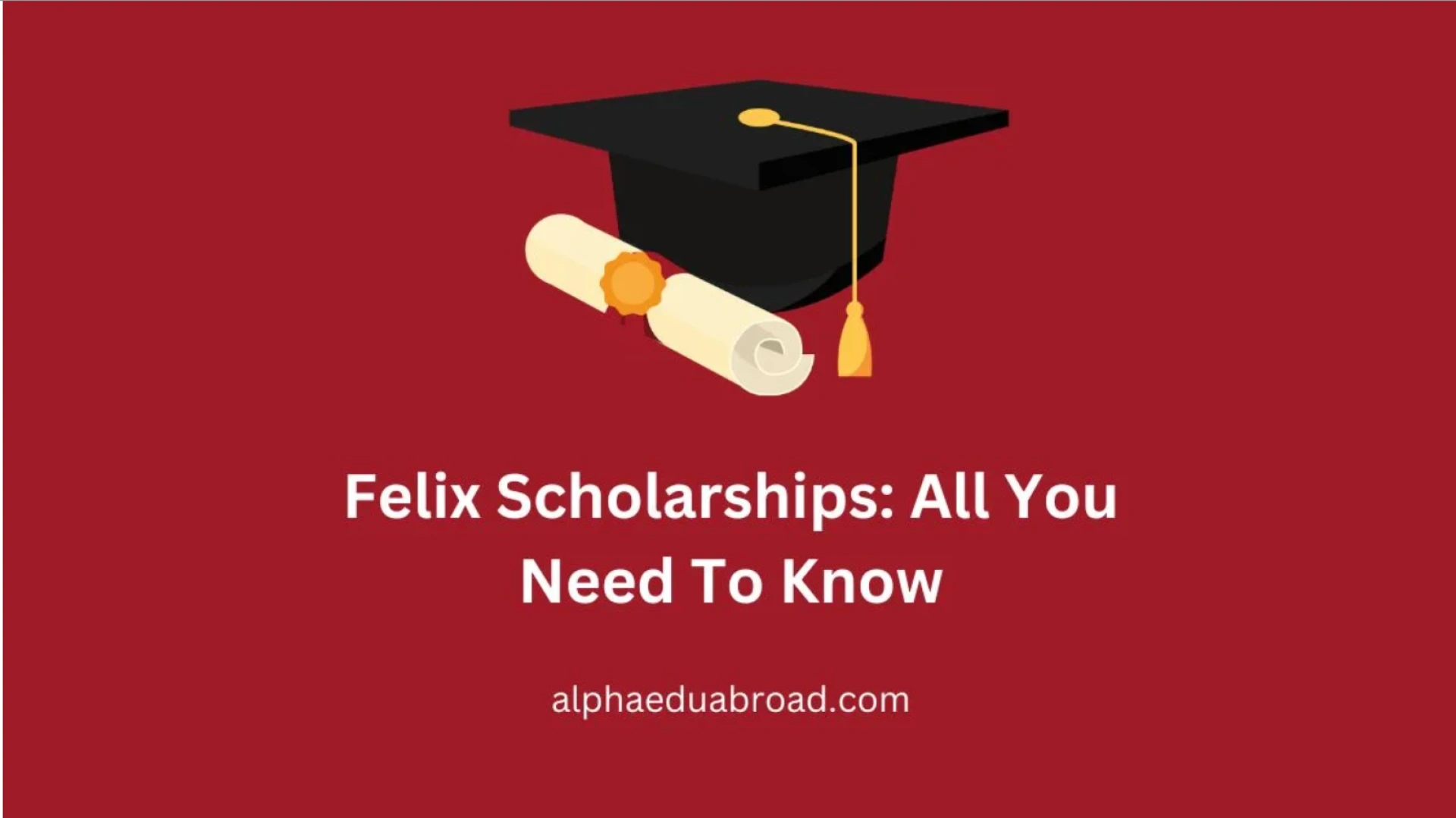 Felix Scholarships: All You Need To Know