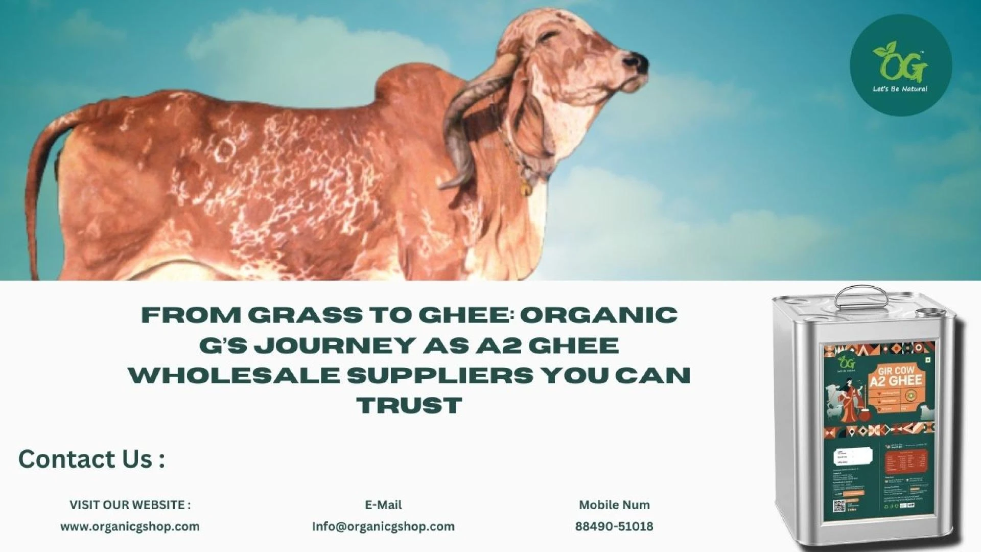 From Grass to Ghee: Trusted A2 Ghee Wholesale Suppliers in Gujarat