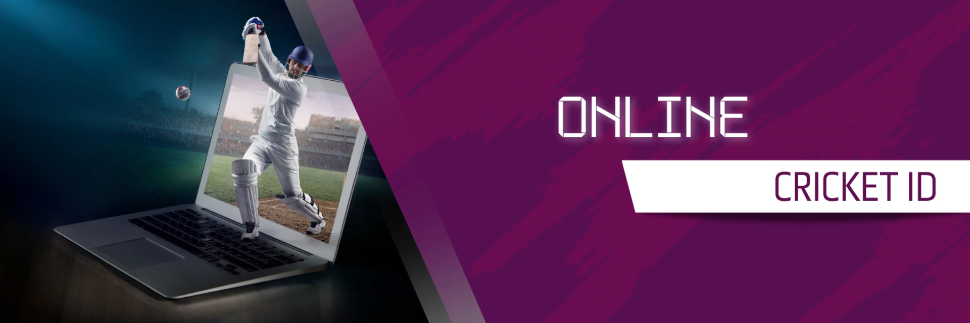 Dream 555: Your Best Solution for Cricket Ids and much More