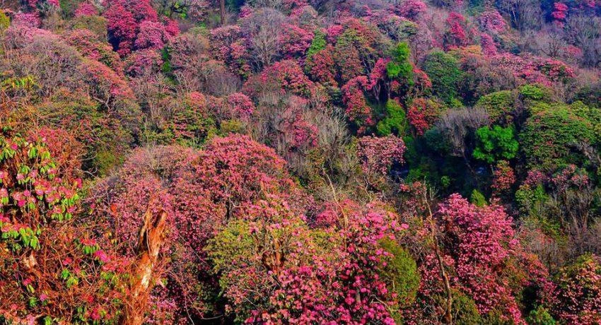 Nepal Trips: Combining Adventure and Relaxation