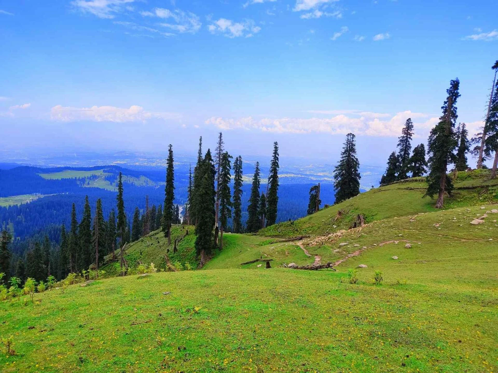 Unveiling Kashmir: Exclusive Tour Packages for Your Dream Getaway