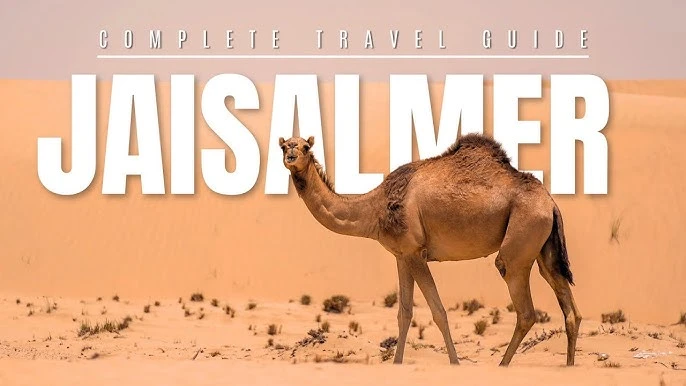 Your Guide to the Best Activities in Jaisalmer’s Desert